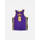 LOS ANGELES LAKERS JAMES 6 JORDAN NBA JERSEY 2XL